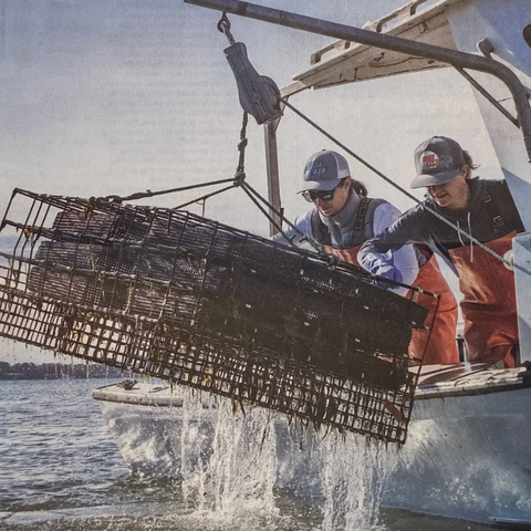 Little Ram Oyster Experience, August 13th