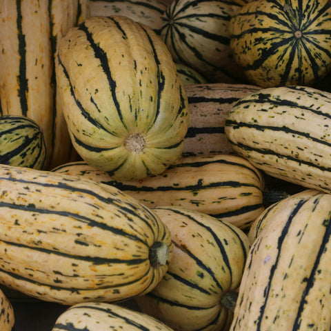The Harvest Table, October 7th (NEW LOCATION!)